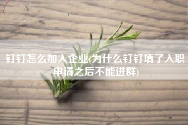 钉钉怎么加入企业(为什么钉钉填了入职申请之后不能进群)