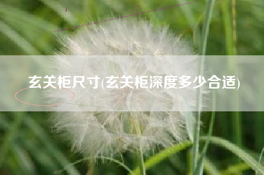 玄关柜尺寸(玄关柜深度多少合适)