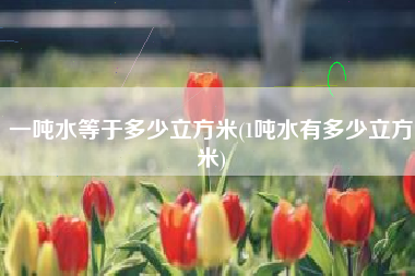 一吨水等于多少立方米(1吨水有多少立方米)