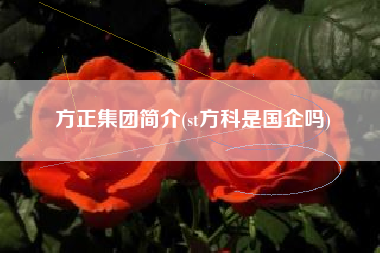 方正集团简介(st方科是国企吗)