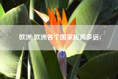欧洲(欧洲各个国家距离多远)