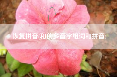 恢复拼音(和的多音字组词和拼音)