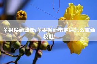 苹果换新政策(苹果换新电池后怎么重新校准)
