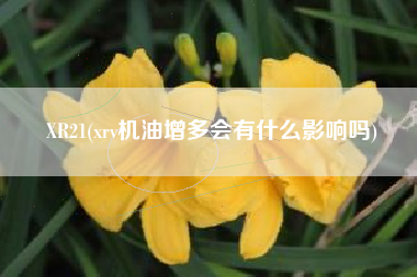 XR21(xrv机油增多会有什么影响吗)