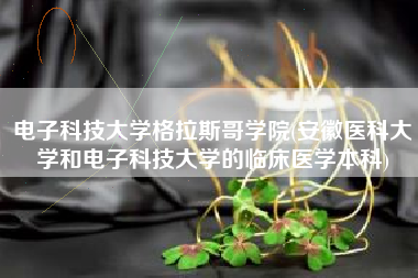 电子科技大学格拉斯哥学院(安徽医科大学和电子科技大学的临床医学本科)