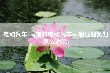电动汽车suv(猎豹电动汽车suv胎压监测灯怎么消除)