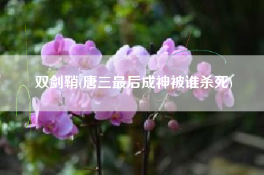 双剑鞘(唐三最后成神被谁杀死)