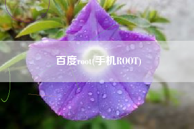 百度root(手机ROOT)