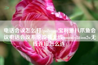 电话会议怎么打(polycom宝利通八爪鱼会议电话会议系统设备无线soundstation2w无线连接怎么连)