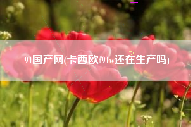 91国产网(卡西欧f91w还在生产吗)