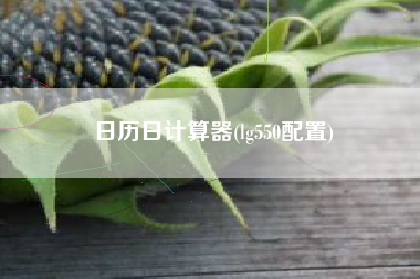 日历日计算器(lg550配置)