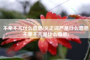 不卑不亢什么意思(义正词严是什么意思不卑不亢是什么意思)