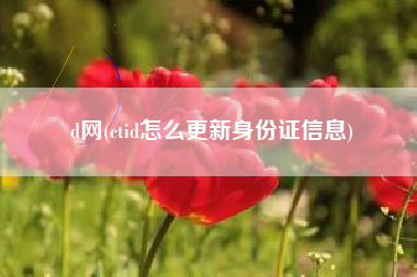 d网(ctid怎么更新身份证信息)