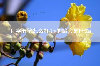 厂字五笔怎么打(压的偏旁是什么)