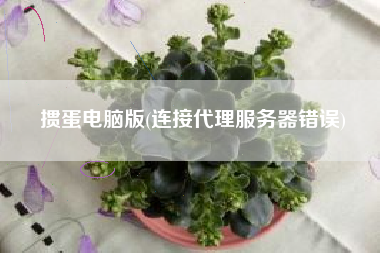 掼蛋电脑版(连接代理服务器错误)