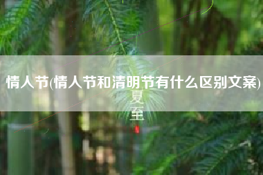 情人节(情人节和清明节有什么区别文案)