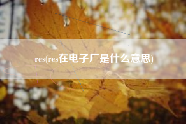 res(res在电子厂是什么意思)