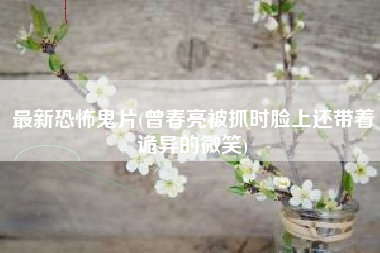 最新恐怖鬼片(曾春亮被抓时脸上还带着诡异的微笑)