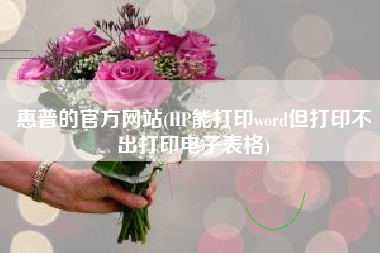 惠普的官方网站(HP能打印word但打印不出打印电子表格)