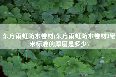 东方雨虹防水卷材(东方雨虹防水卷材3毫米标准的厚度是多少)