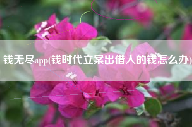 钱无尽app(钱时代立案出借人的钱怎么办)