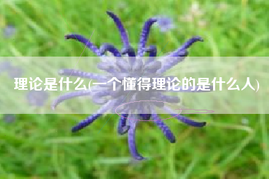 理论是什么(一个懂得理论的是什么人)