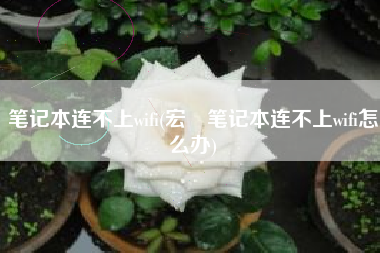 笔记本连不上wifi(宏碁笔记本连不上wifi怎么办)