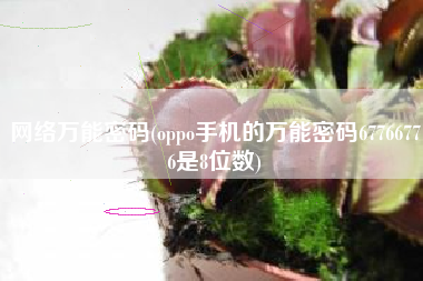 网络万能密码(oppo手机的万能密码67766776是8位数)