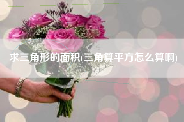 求三角形的面积(三角算平方怎么算啊)