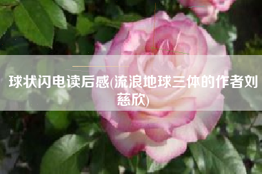 球状闪电读后感(流浪地球三体的作者刘慈欣)