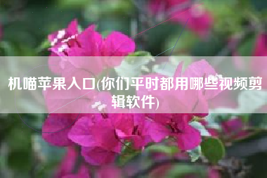 机喵苹果入口(你们平时都用哪些视频剪辑软件)