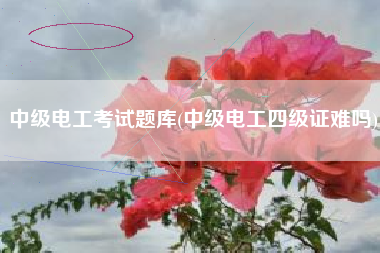 中级电工考试题库(中级电工四级证难吗)