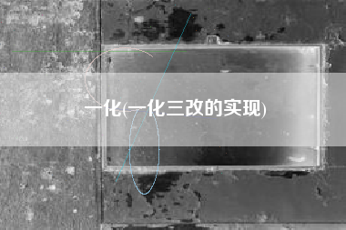 一化(一化三改的实现)