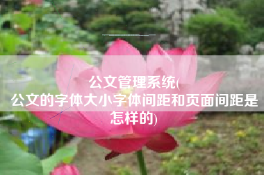 公文管理系统(
公文的字体大小字体间距和页面间距是怎样的) 公文管理系统(
公文的字体大小字体间距和页面间距是怎样的)
