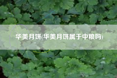 华美月饼(华美月饼属于中粮吗)