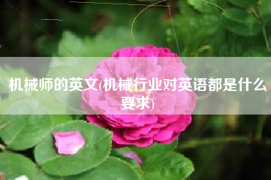 详细阅读:机械师的英文(机械行业对英语都是什么要求) 机械师的英文(机械行业对英语都是什么要求)