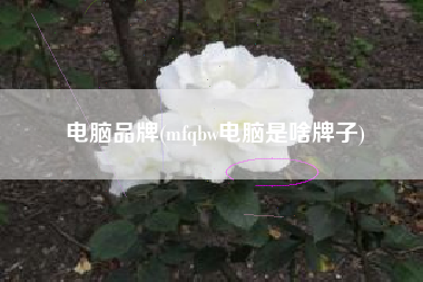 电脑品牌(mfqbw电脑是啥牌子)