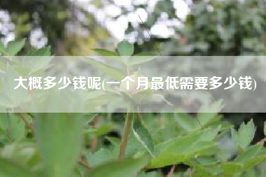 大概多少钱呢(一个月最低需要多少钱)