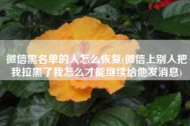 微信黑名单的人怎么恢复(微信上别人把我拉黑了我怎么才能继续给他发消息)