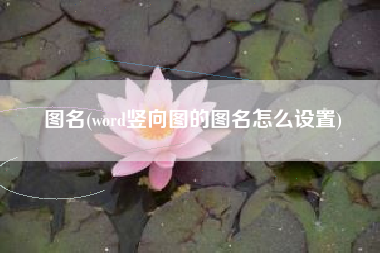 图名(word竖向图的图名怎么设置)