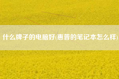 什么牌子的电脑好(惠普的笔记本怎么样)