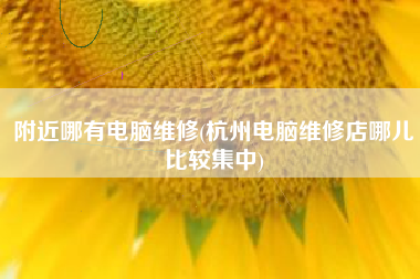 附近哪有电脑维修(杭州电脑维修店哪儿比较集中)