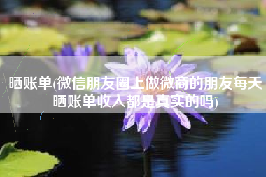 晒账单(微信朋友圈上做微商的朋友每天晒账单收入都是真实的吗)