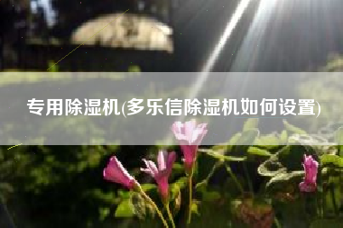 专用除湿机(多乐信除湿机如何设置)