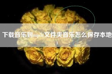 下载音乐到mp3(文件夹音乐怎么保存本地)