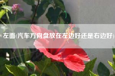 左面(汽车方向盘放在左边好还是右边好)