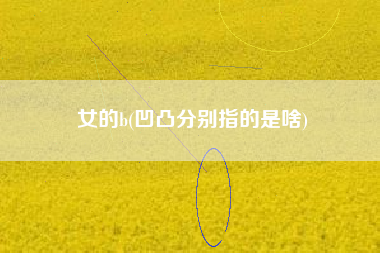 女的b(凹凸分别指的是啥)