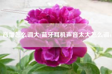 音量怎么调大(蓝牙耳机声音太大怎么调)