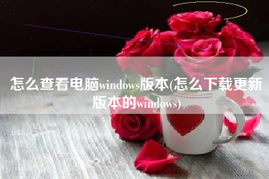 怎么查看电脑windows版本(怎么下载更新版本的windows)