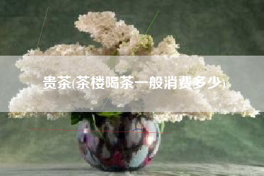 贵茶(茶楼喝茶一般消费多少)